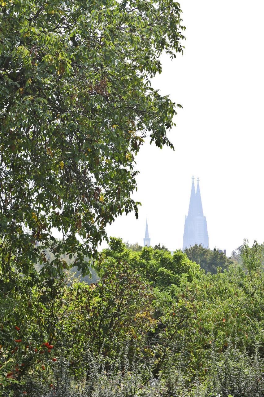 Top Apartments In Zentraler Lage Köln Exteriör bild